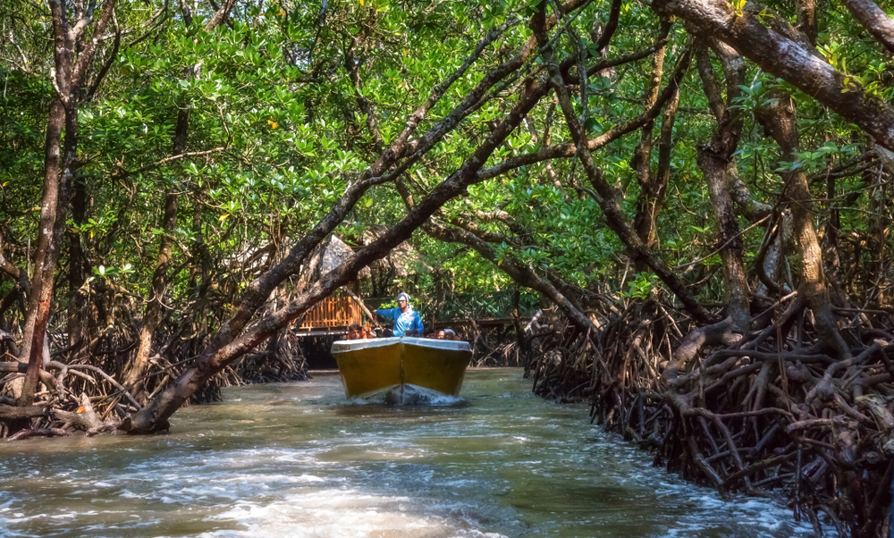 Kids Friendly Pattaya and Bangkok